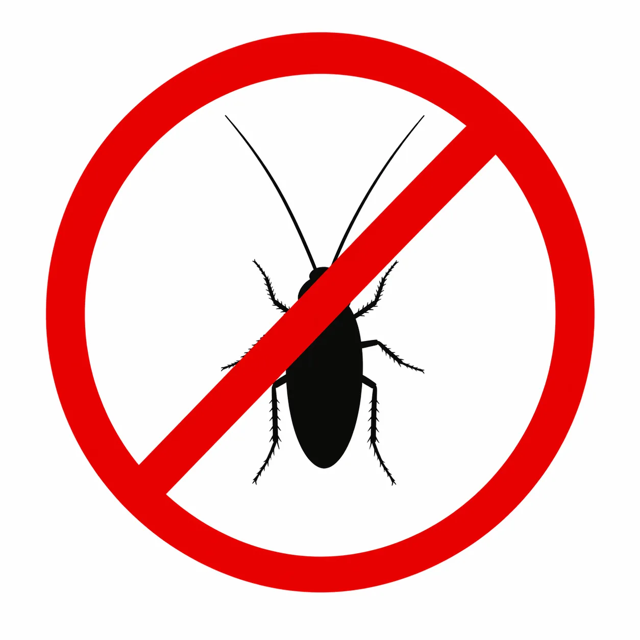 مكافحة الصراصير